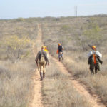 Hunters walk along a two track that cuts through desert and disappears in the distance.