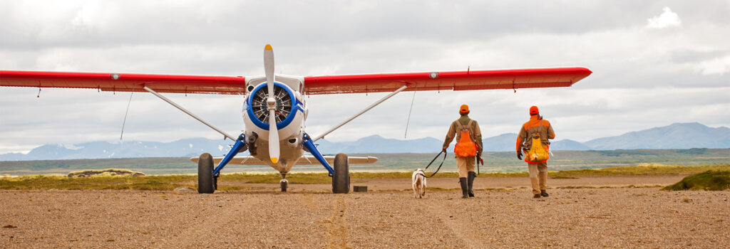 Two bird hunters and a gun dog walking toward an airplane which is facing the camera.