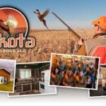 Collage of hunting photos, including one of a rooster flushing very close to a bird hunter.