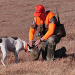 A bird hunter accepting a retrieved pheasant from a bird dog.