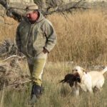 A Labrador retriever carrying a harvested pheasant at heel next to a walking bird hunting guide.