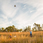 Bird hunter taking aim at high flying pheasant.