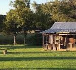 Outside view of bird hunting cabin and lawn.