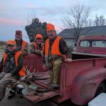 Four bird hunters posing in the bed of a vintage truck with their harvest pheasants.