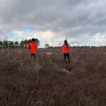 View of two bird hunters and a bird dog from behind as the trio works through a field.