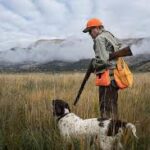 A hunter holding a shotgun in the crook of his arm looks at a bird dog in a field, mountains in the background. 