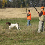 Two bird hunters approaching a bird dog on point.