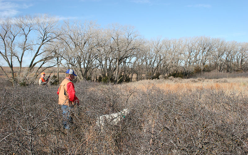 Hunt the Hashknife Ranch - Bird Country Resorts