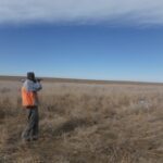 A bird hunter taking aim over a large expanse of short grass terrain.