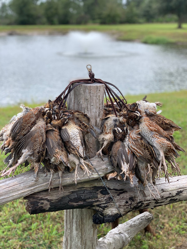 Lightsey Family Ranch - Bird Country Resorts