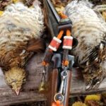 Harvested ruffed grouse with shotgun and laynard. 