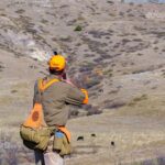 A bird hunter flushing several game birds.