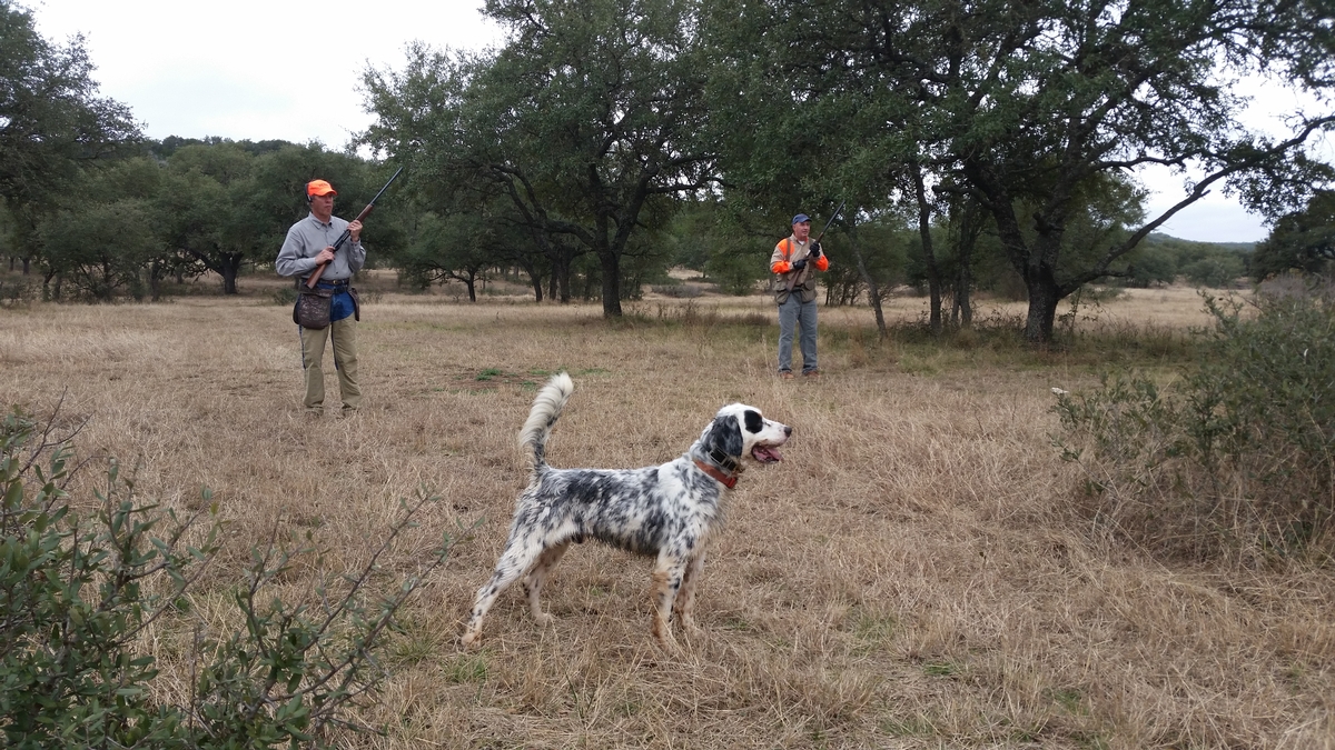 4R Ranch - Bird Country Resorts