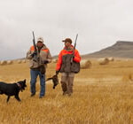 Two bird hunters strolling through field with gun dog.