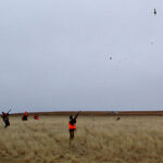 Group of hunters taking aim at flying pheasants.