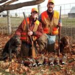 Couple of hunters and two bird dogs posing behind bagged pheasants.