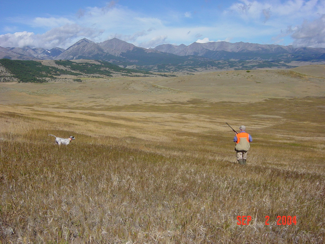 Montana Bird Hunts Bird Country Resorts