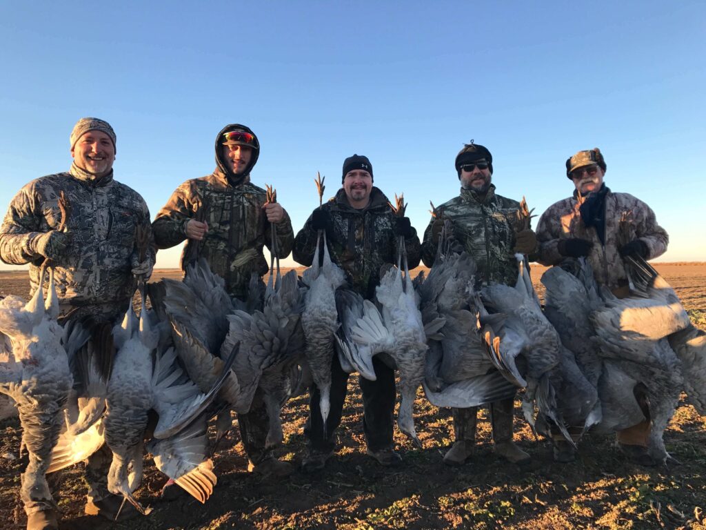 Five camo glad hunters holding up harvested sandhill cranes.