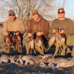 Hunters posing with harvest of many pheasants and sandhill cranes. 