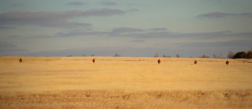 A row of bird hunters spread out in vast field.