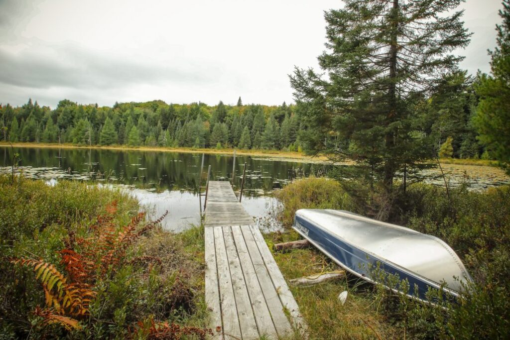 A dock, upturned boat and pond rimmed by pines. 