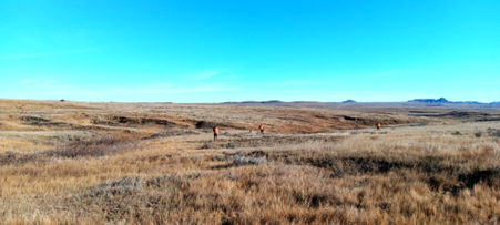 Bird hunters spread across vast open bird hunting field.
